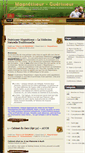 Mobile Screenshot of magnetiseur81.fr